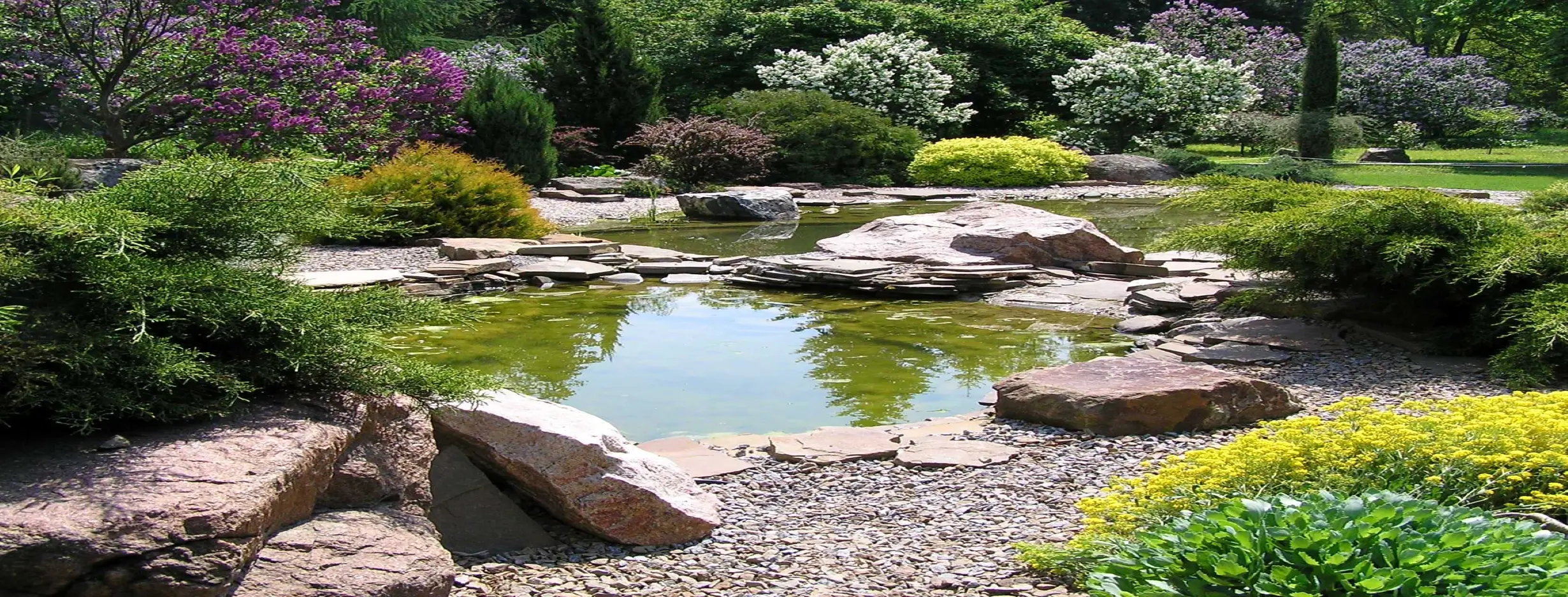 Image for Botanical Garden